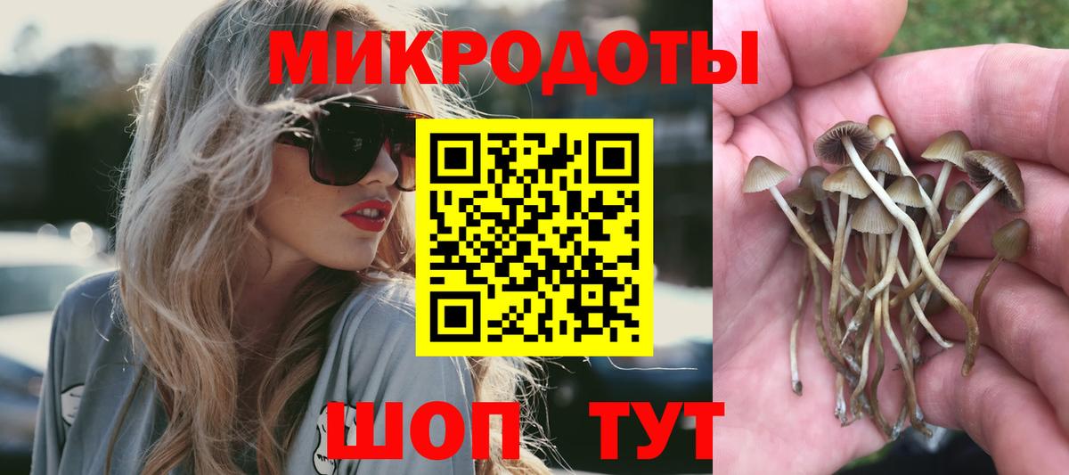 Узловая  цена наркотик  Вход с VPN  Галлюциногенные грибы Psilocybine cubensis 