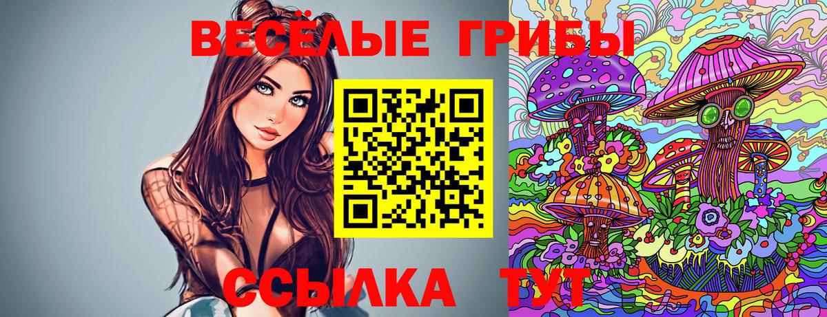 Галлюциногенные грибы мицелий Узловая